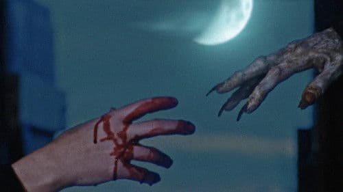 They Call Her Death Bild 3