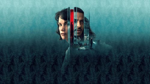 The Woman in the Wall Bild 1