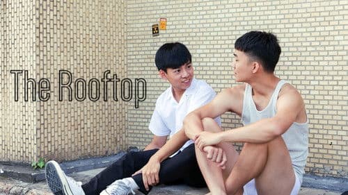 頂樓的自習課 Bild 3