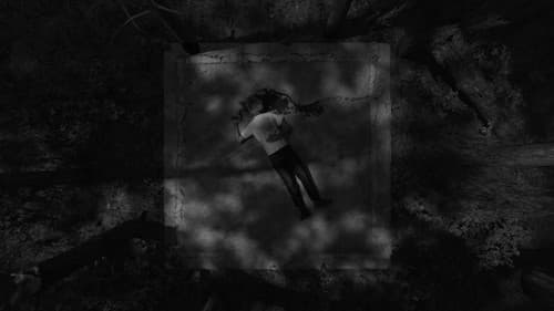 Variations on Violence Bild 1