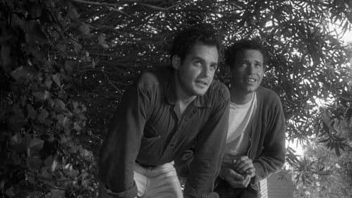 Private Property Bild 6