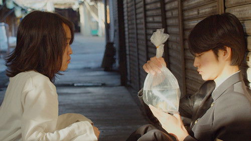 Silence and Sunset Bild 1