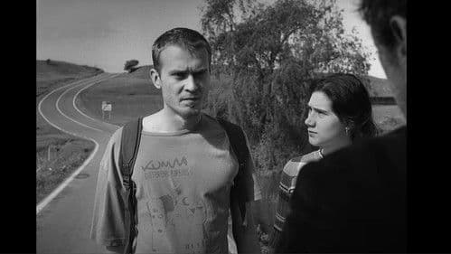 Cam multă spumă Bild 4