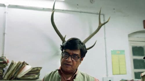 शेरनी Bild 4