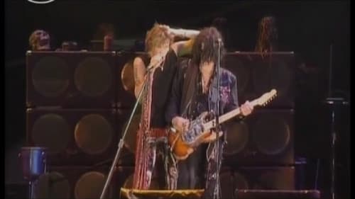 Aerosmith - Live in Japan Bild 1