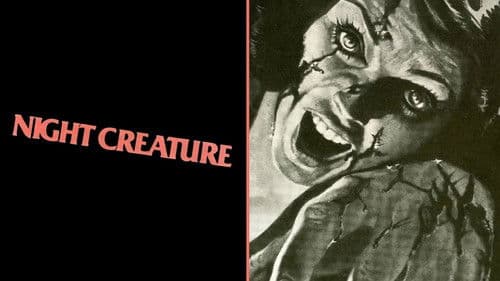 Night Creature Bild 5