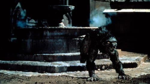 American Werewolf in Paris Bild 5