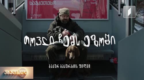 თოვლი ჩემს ეზოში Bild 3