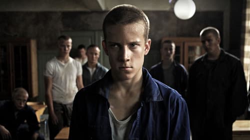 Tummien perhosten koti Bild 1