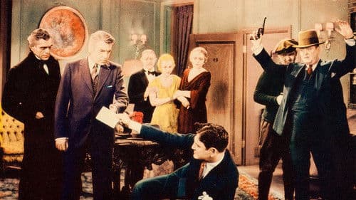 The Public Defender Bild 1