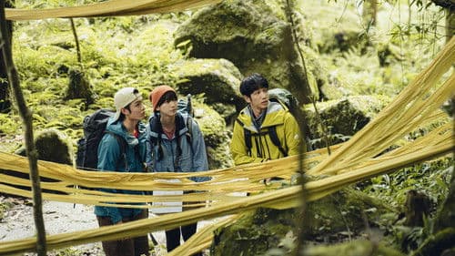 山忌 黃衣小飛俠 Bild 2