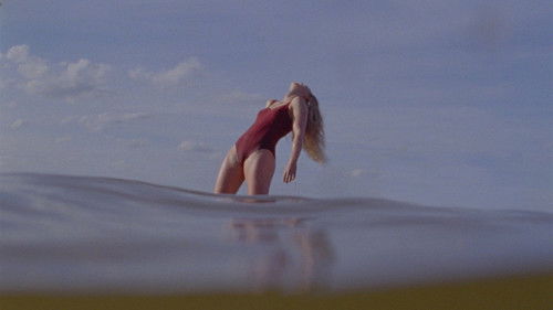 The Chronology of Water Bild 4