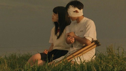 月光の囁き Bild 1