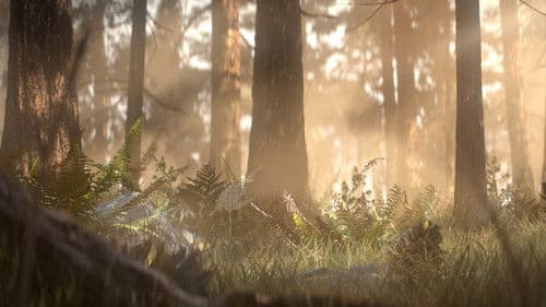 Alone: a Wolf's Winter Bild 2