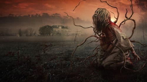 Eight for Silver Bild 8