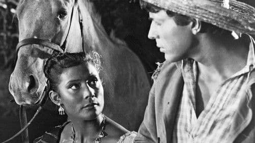 Мексиканец Bild 1