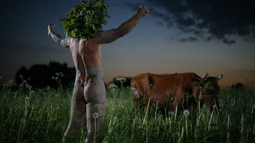 Midsummer Madness Bild 2