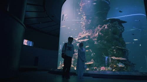 Ahlan Singapore Bild 5