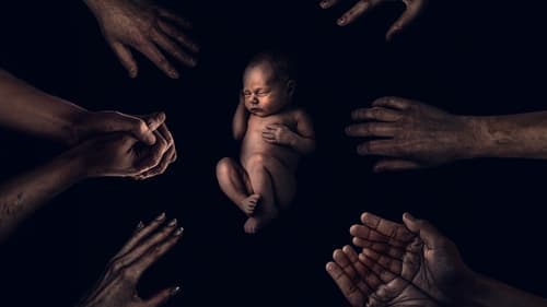 The King Tide Bild 2