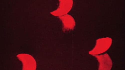 Lichtspiel: Opus I Bild 1