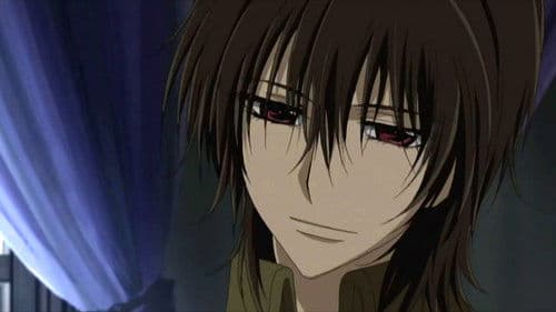 Vampire Knight Bild 2