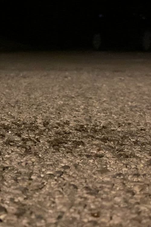 Puževi pažljivo prelaze put 2: Marljivi mravi marširaju (Puževi pažljivo prelaze put nightcore Lenin remix)