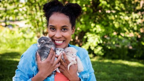 Pia und die Haustiere Bild 1