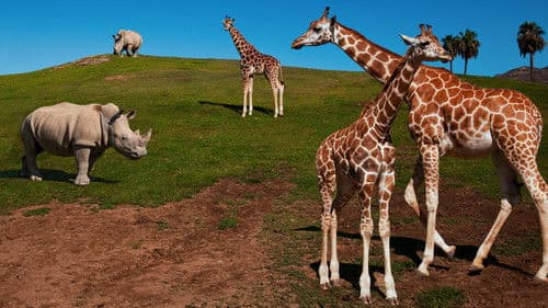 San Diego Zoo Bild 1