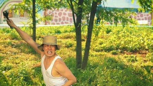 오늘도 평화로운 Bild 7