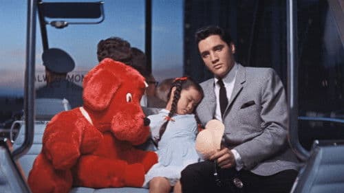 Ob blond, ob braun Bild 6