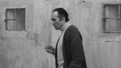 Die Geschöpfe Bild 3