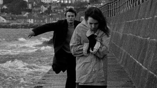 Hard, Cracked the Wind Bild 1