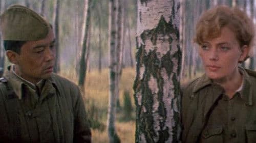 Тайная прогулка Bild 1