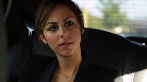 The Chauffeur Bild 1