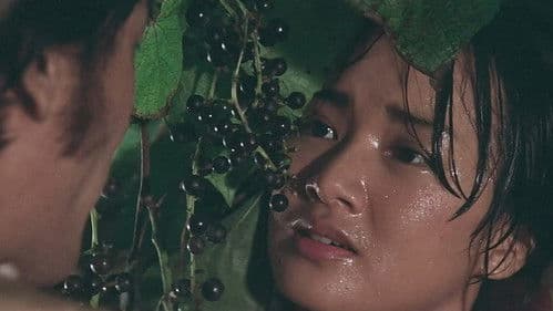 앵무새 몸으로 울었다 Bild 1