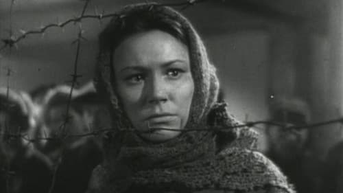 Константин Заслонов Bild 1