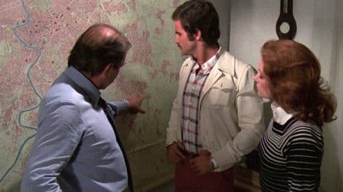 ...a tutte le auto della polizia... Bild 1