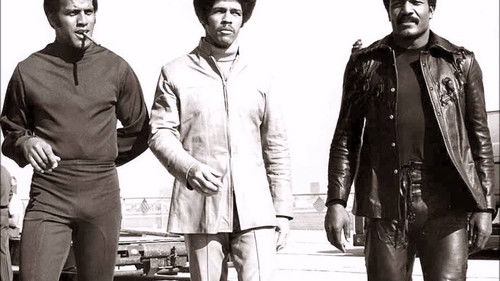 Drei eiskalte Profis Bild 4