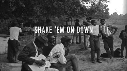 Shake 'Em On Down Bild 8