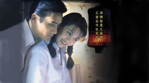 新人皮燈籠 Bild 6