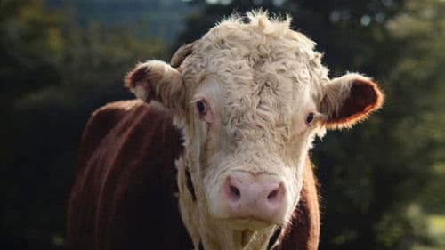 Little Berlin Bild 1