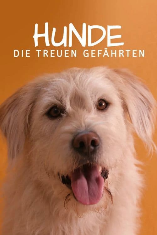 Hunde – Die treuen Gefährten