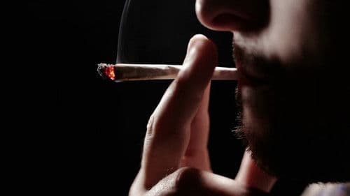 How Drugs Work Bild 1