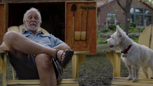 Angry Neighbors Bild 2