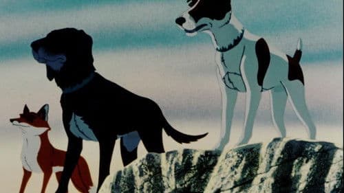 Die Hunde sind los Bild 6