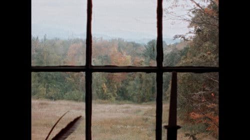 B wie Bartleby Bild 1