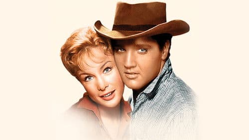 Flammender Stern Bild 3