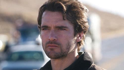 A Bird of the Air Bild 2