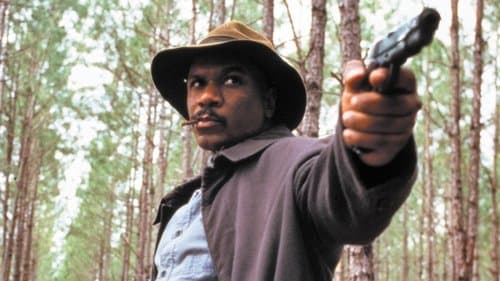 Rosewood Burning Bild 1