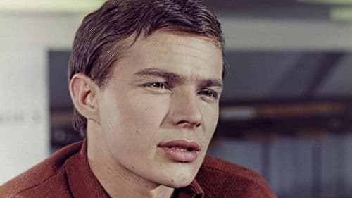 Саша-Сашенька Bild 2